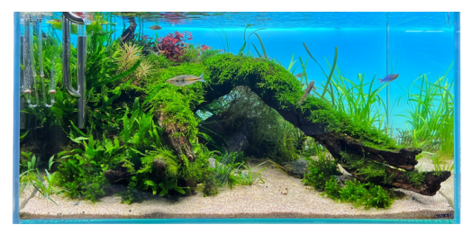 Akvarijní osvětlení DIVERSA  Backlight RGB ( barevné) 150 x 50