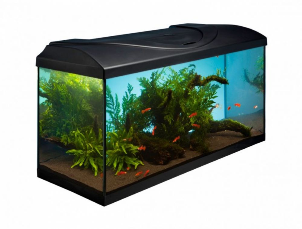 Akvarijní set DIVERSA 80 LED  EXPERT černý rovný