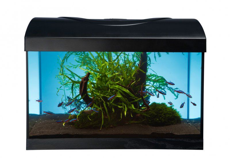 Akvarijní set  DIVERSA LED Expert 40  černý rovný