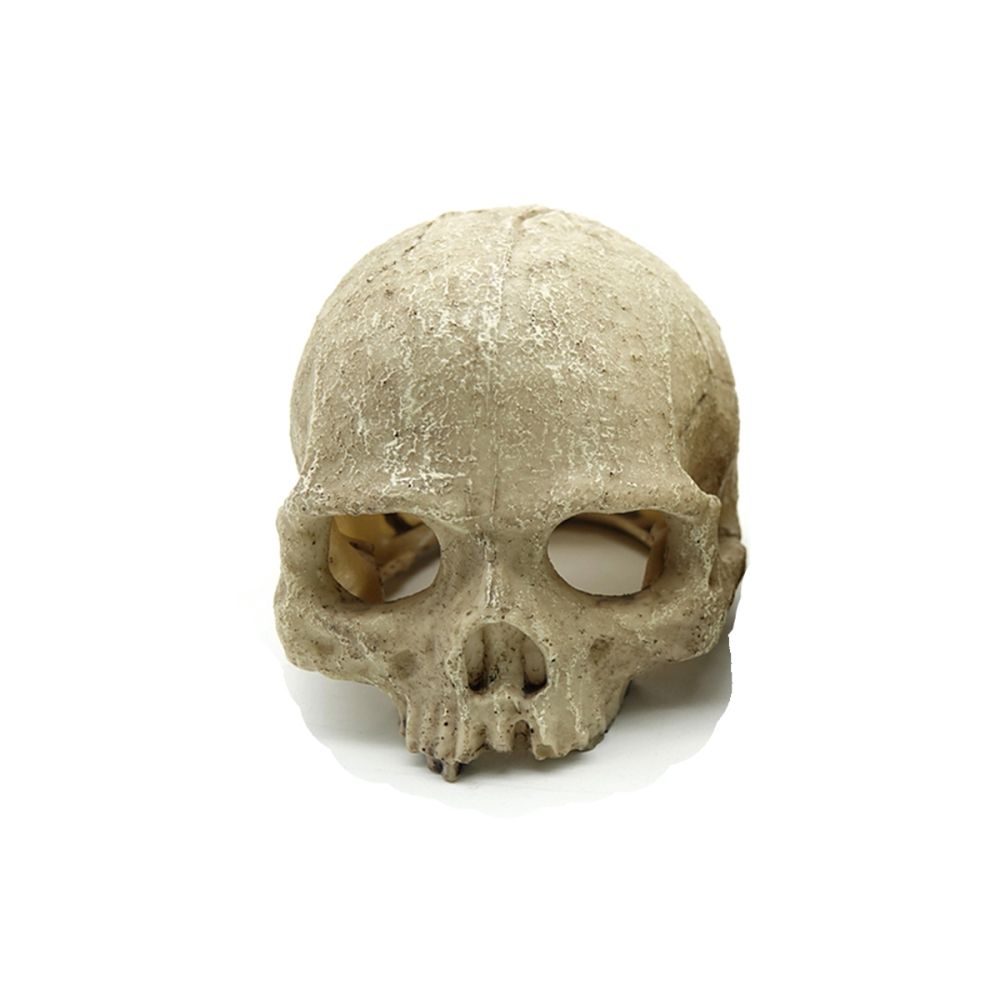 AN dekorace lebka 14 cm