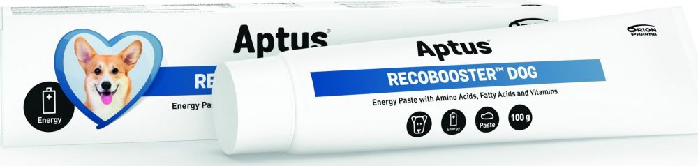 Aptus Recobooster Dog 100g