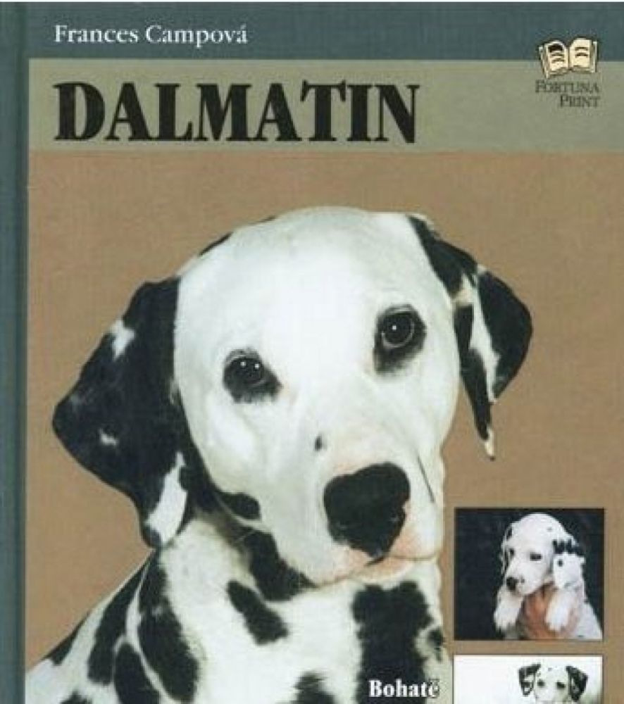 DALMATIN