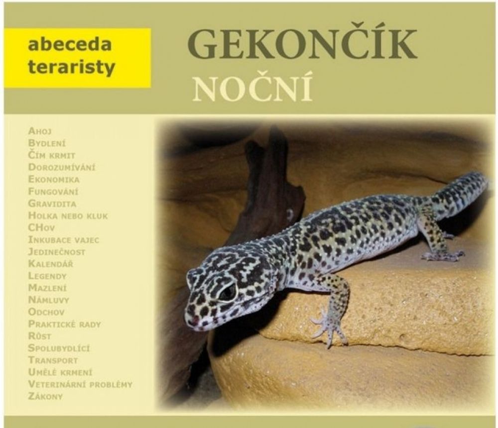 GEKONČÍK NOČNÍ