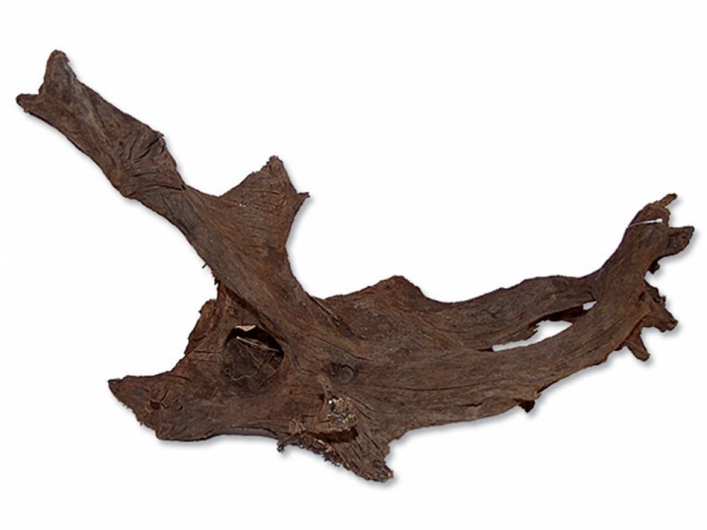 Kořen DriftWood  XL, 70-80 cm
