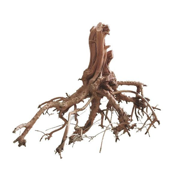 Kořen ETOSHA-Tree M