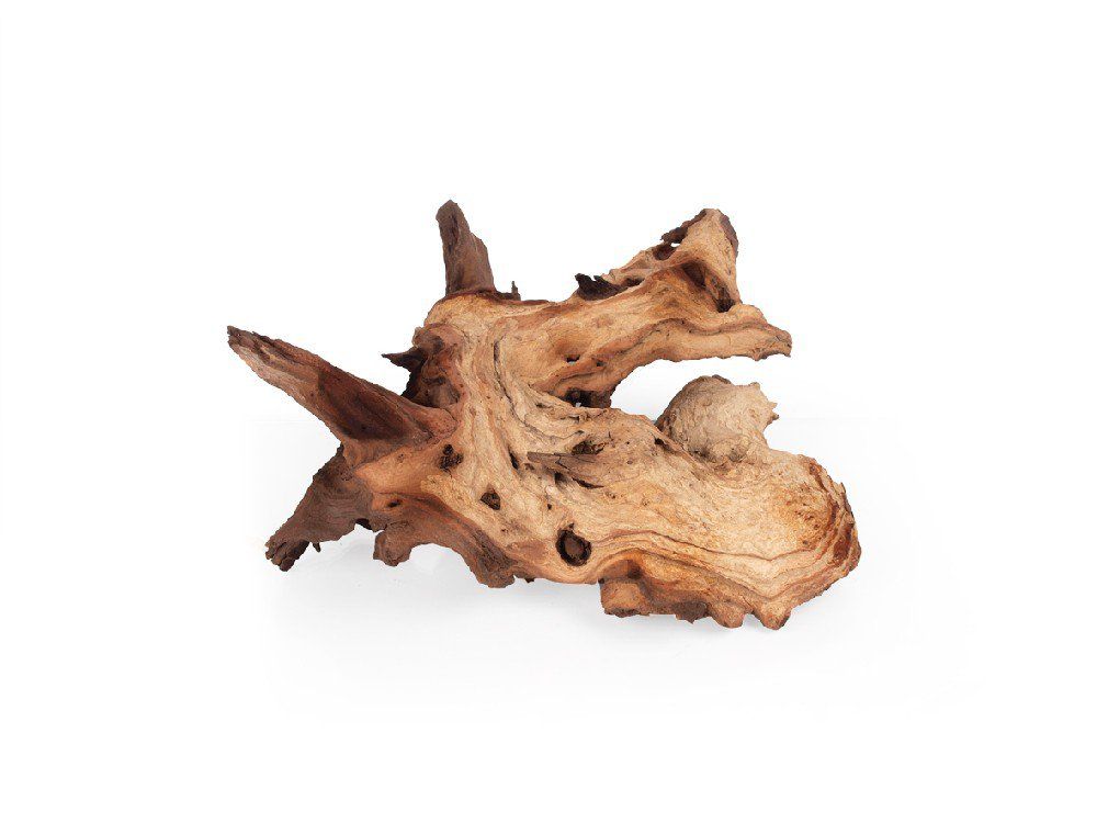 Kořen Mopani L / 30 - 50 cm