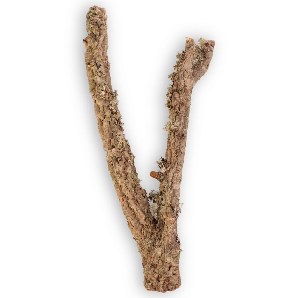 Korková dubová větev 50 cm