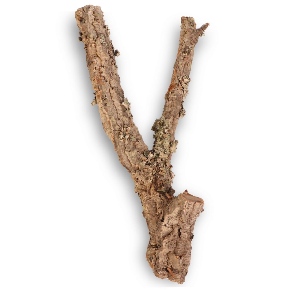Korková dubová větev 60 cm