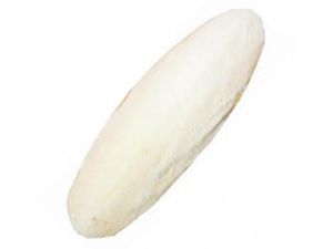 Kost sépiová  20 cm