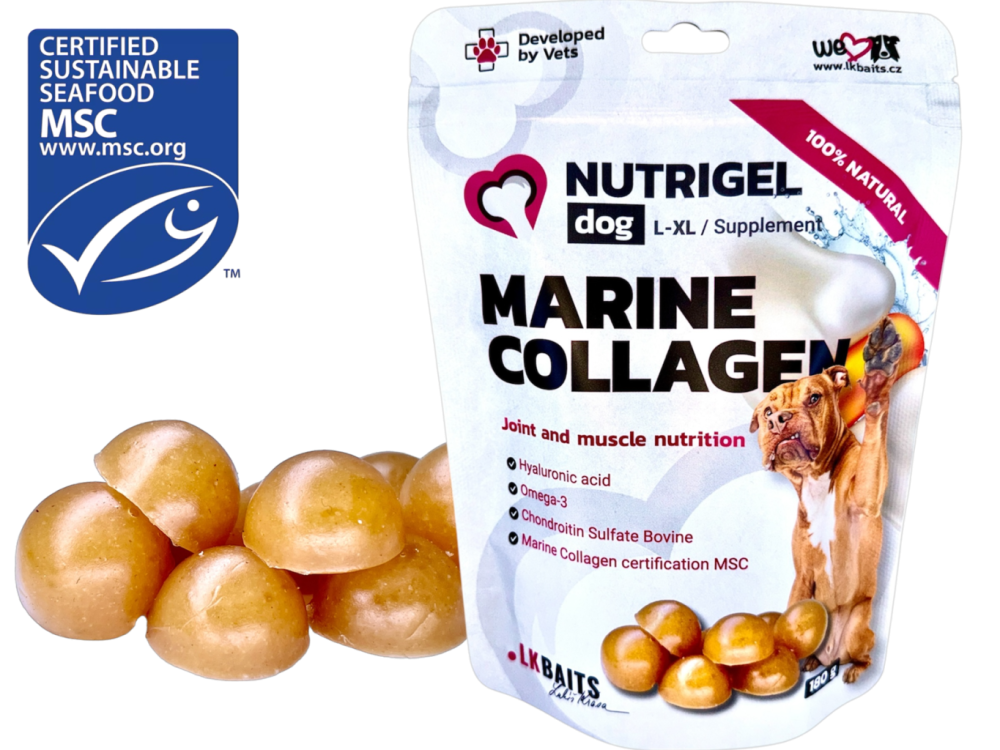 LK Baits Pet Nutrigel Dog Marine Collagen L-XL,180g