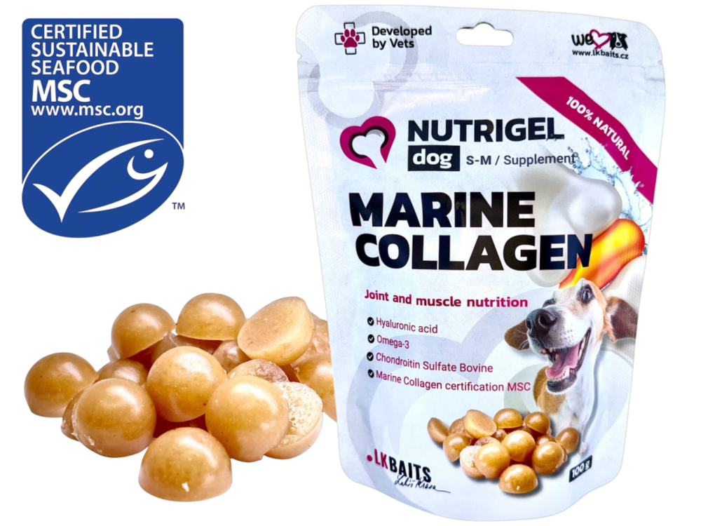 LK Baits Pet Nutrigel Dog Marine Collagen S-M,100g