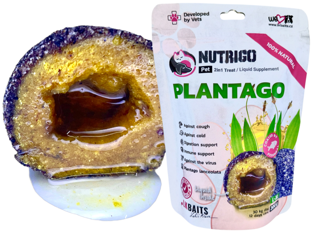 LK Baits Pet Nutrigo Dog Supplement Plantago Sirup,L-XL,200g
