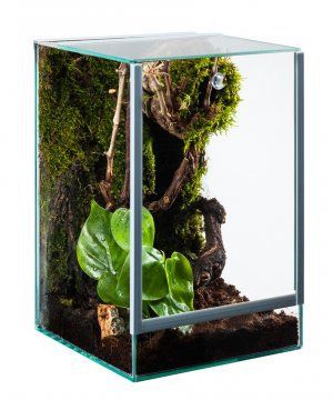 Nano terarium 20*20*30