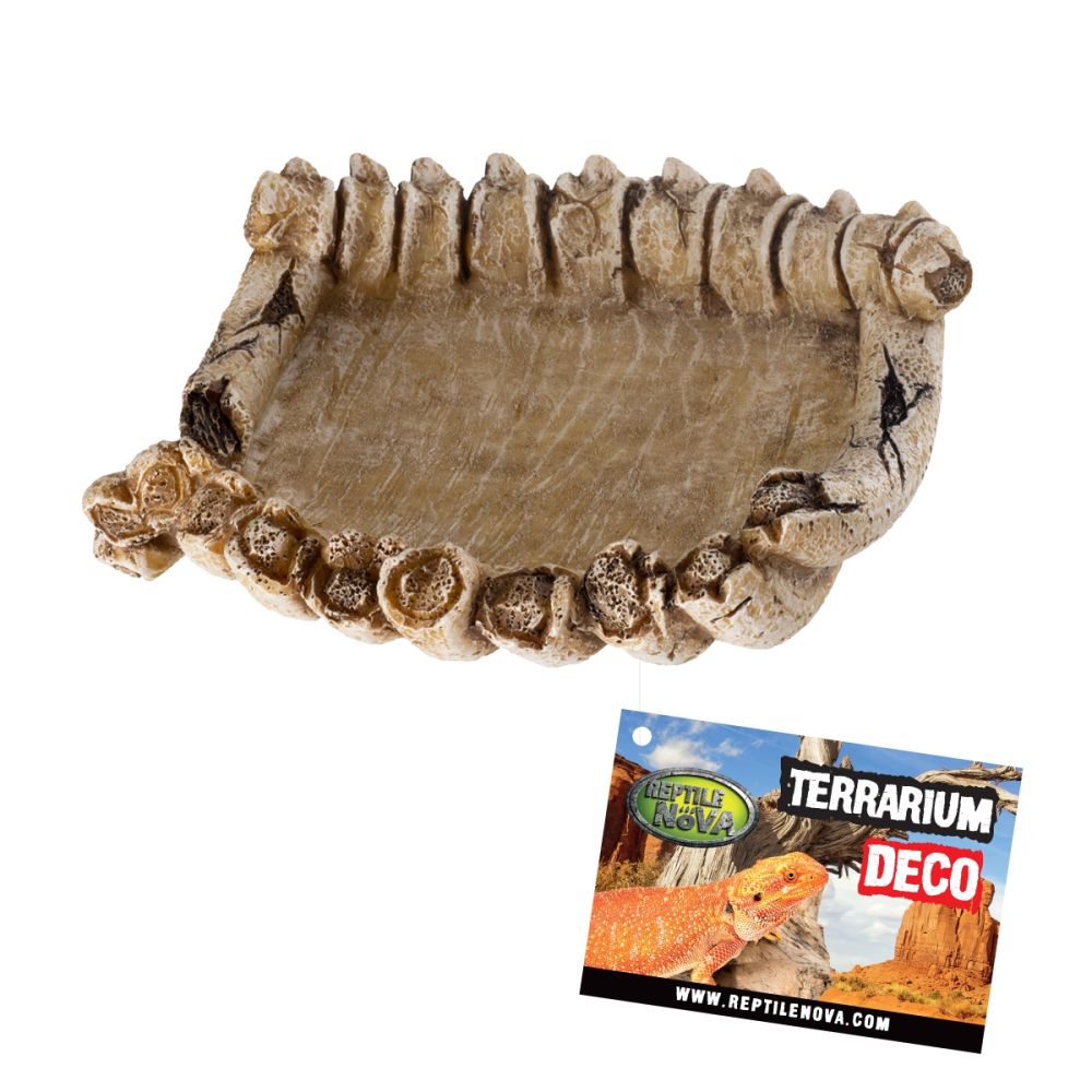 Repti nova pastová Miska pro plazy 14 cm