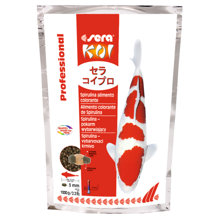 Sera KOI Spirulina Color Krmivo 1000 G