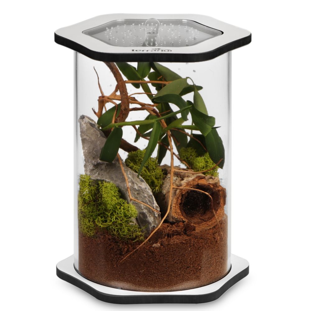 Terrario Spiders Tube BIG 200 - akrylové terárium