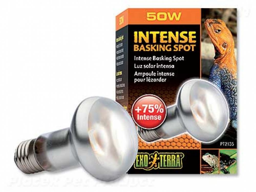 Žárovka EXO TERRA Intense Basking Spot   (50W)